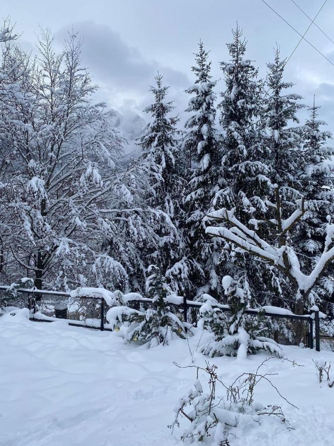 Villa Bohemian Chalet Buşteni Exterior foto